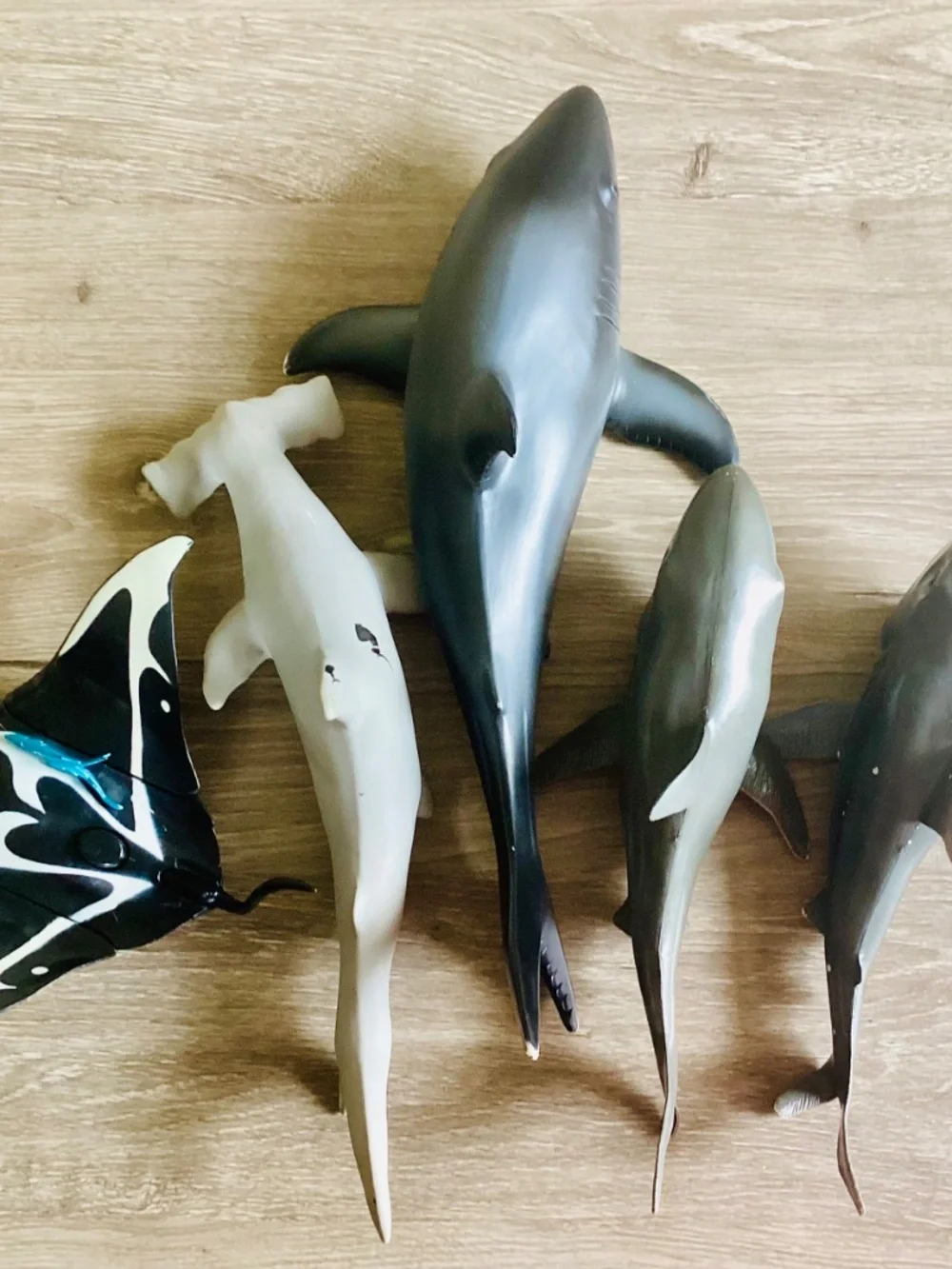 Lot Of 5 Pool Water Toys Sharks Sting Ray Large/Med Size Rubber Floating Diving
